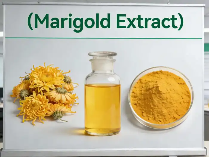 How to Make Marigold Extract?